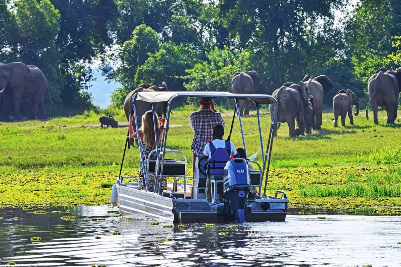 Best Uganda Wildlife safari