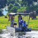 Best Uganda Wildlife safari