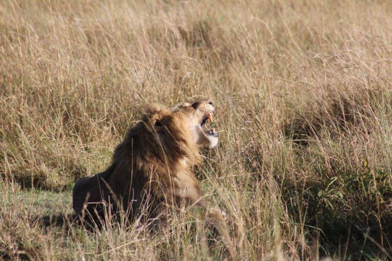 Kidepo National Park