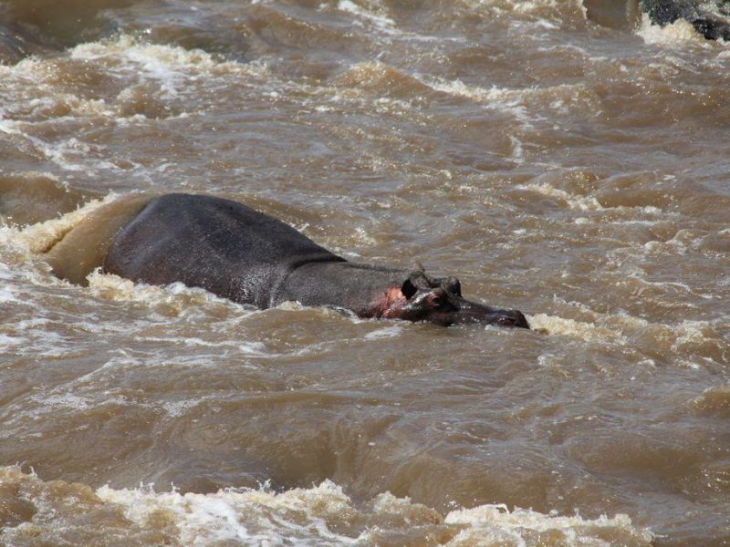 East Africa Safari Destinations