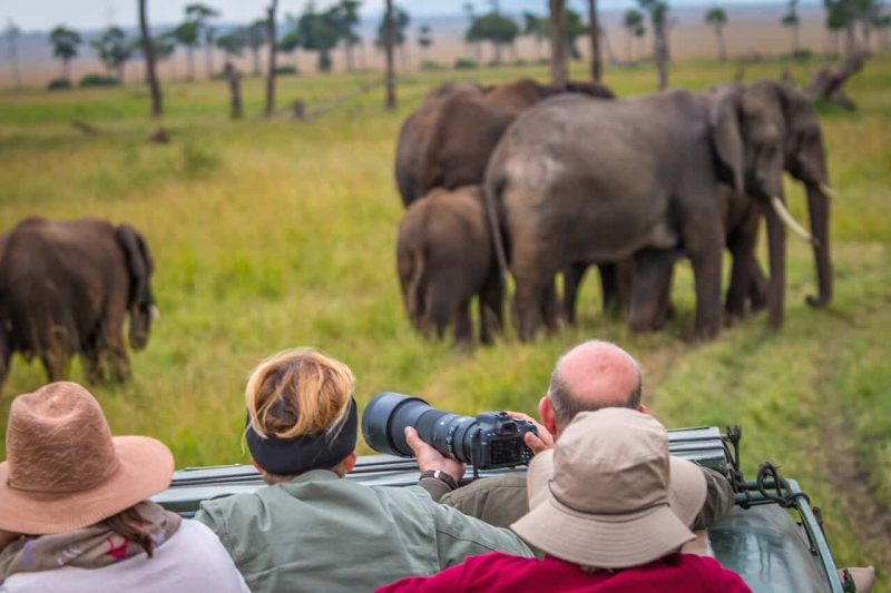 Africa Birding Safaris Tour