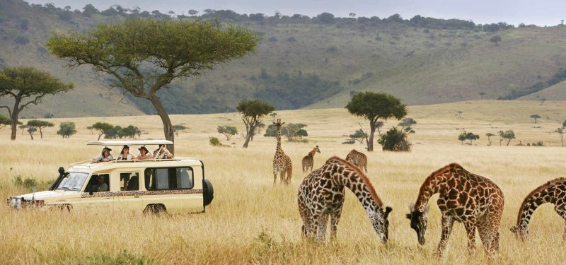 Maasai Mara Kenya Wildlife Safari