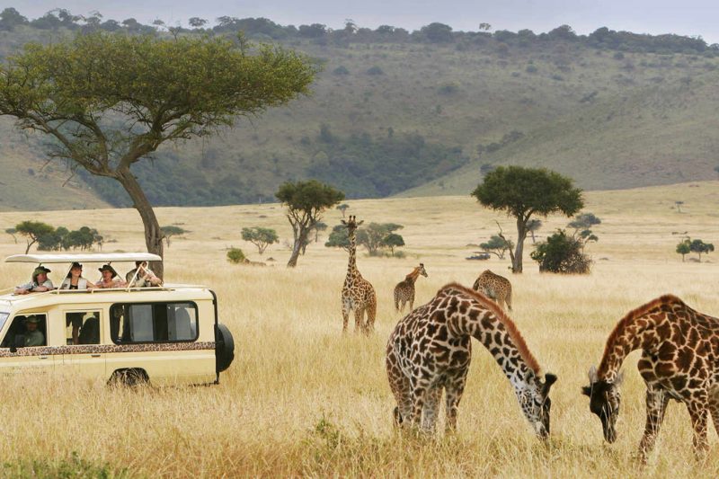 Maasai Mara Kenya Wildlife Safari