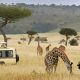 Maasai Mara Kenya Wildlife Safari