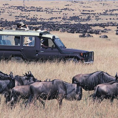 Best of Tanzania Safaris