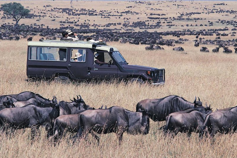 Kenya Safaris Tour
