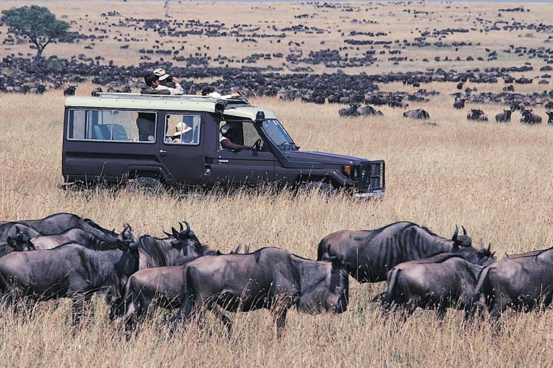 Best of Tanzania Safaris