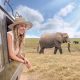 Wildlife Safaris in Kenya