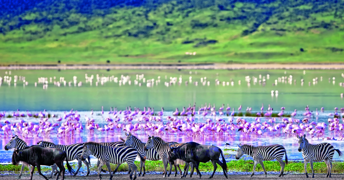 Ngorongoro Crater & Conservation Area Safari Tanzania