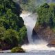 Murchison Falls Safaris