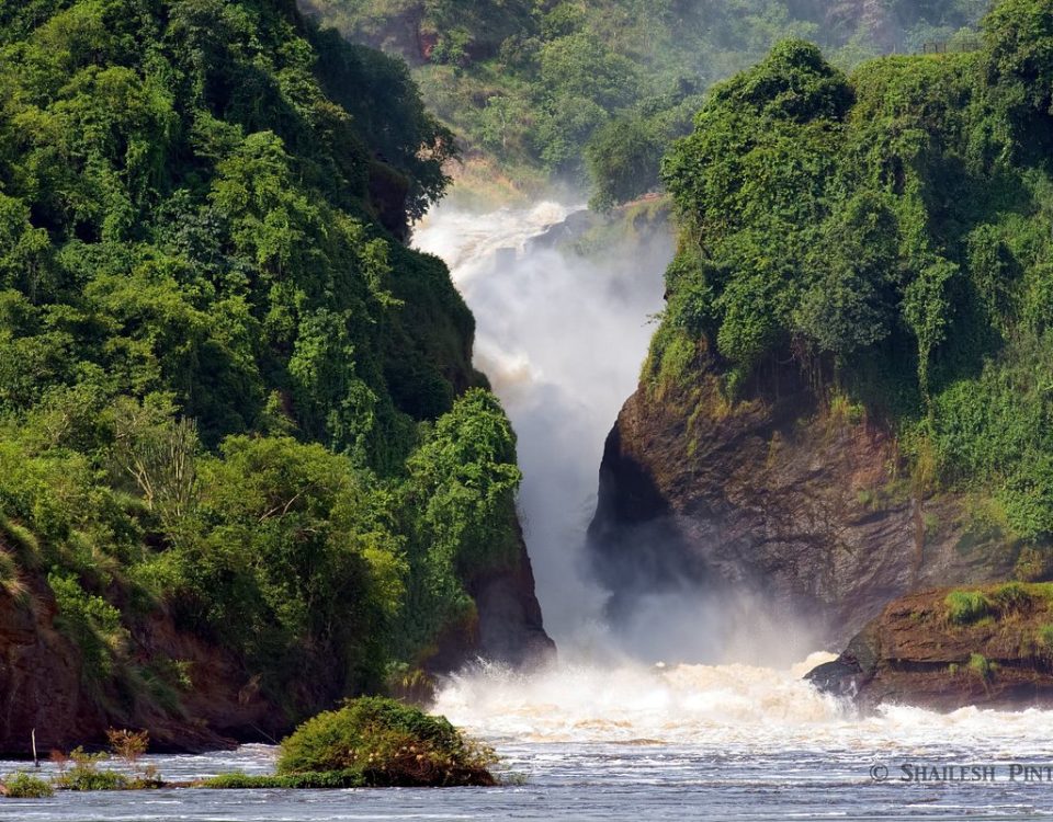 Murchison Falls Safaris