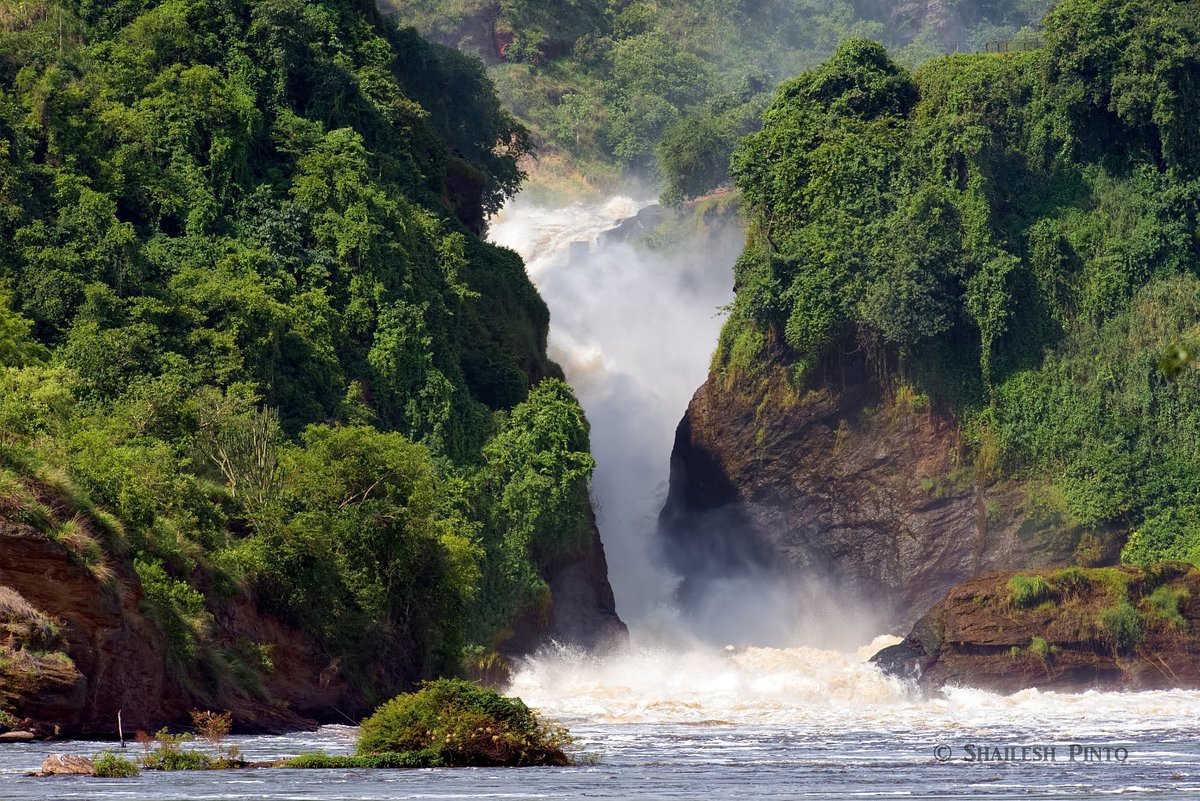 Murchison Falls Safaris