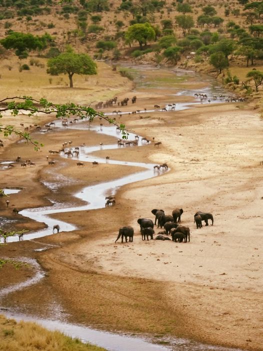 Things to do in Tarangire National Park